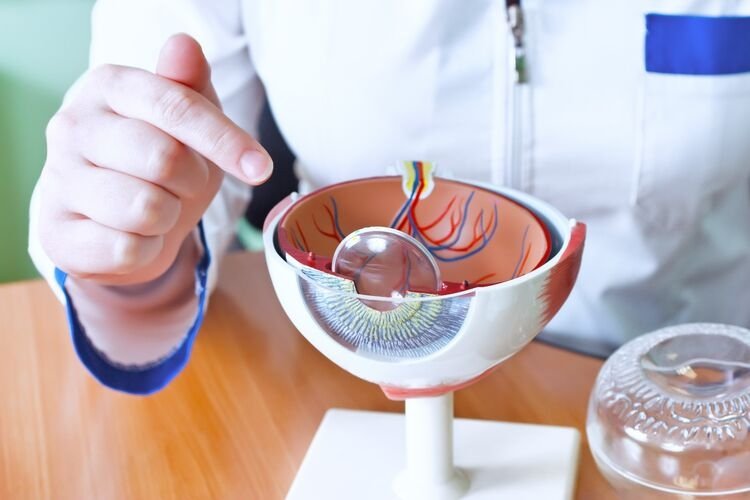 4D-Phaco Cataract Surgery in India: Technology, Results and Recovery