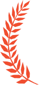 awards-and-recognitions
