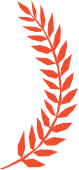 awards-and-recognitions